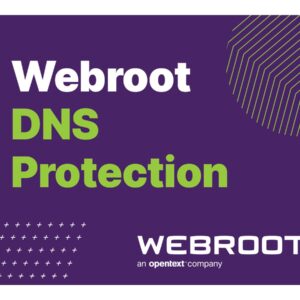 Webroot | DNS Protection with GSM Console | 1 year(s) | License quantity 10-99 user(s)