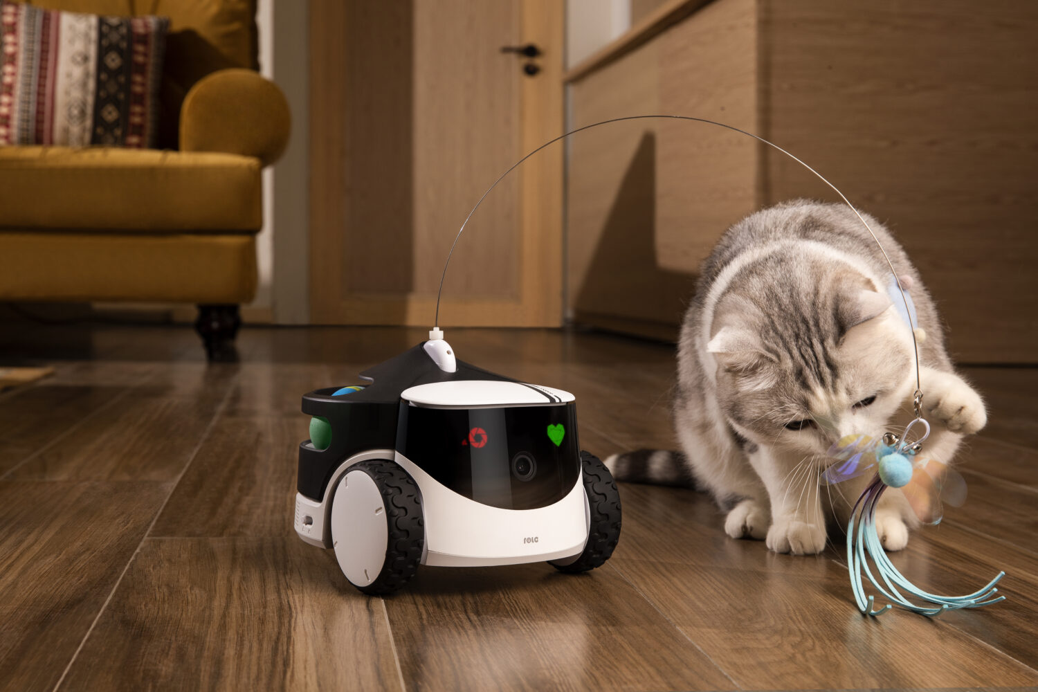 Enabot | Family Robot IP Camera | ROLA PetPal